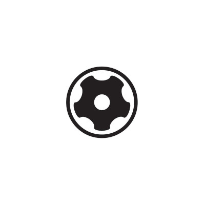 TORX PLUS® Security 25IPR Bit 1/4" kľúč pre Bosch motory