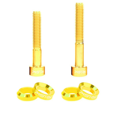 M6 SET GOLD Titanium screws Gold with Rainbow washers for 2-bolt adapter