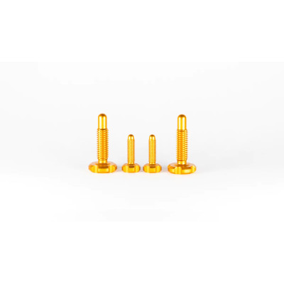 OAK COMPONENTS Screw SET CPA/EPA for Root Lever PRO 4ks