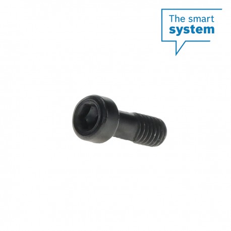 BOSCH Purion 400 screw