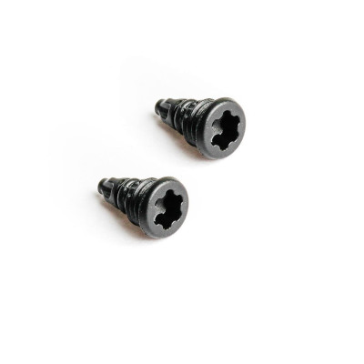 Magura EBT bleed screw Screw 2 pcs