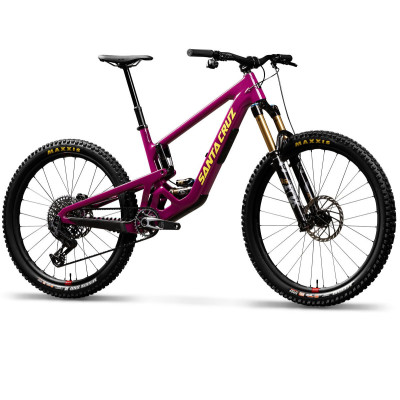 Santa Cruz Bronson