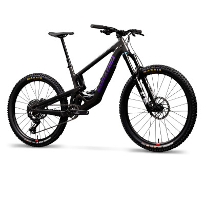 Santa Cruz Bronson