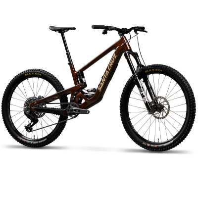 Santa Cruz Bronson