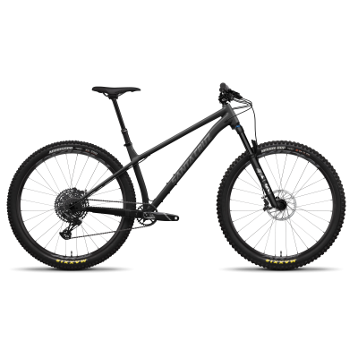 Santa Cruz CHAMELEON