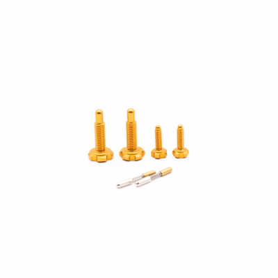 OAK RLP Screw Kit GOLD
