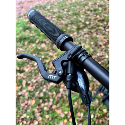 Evil OFFERING V2 29” GX L