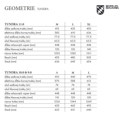STEPPENWOLF Tundra 10.0 DJI titanium gray gloss