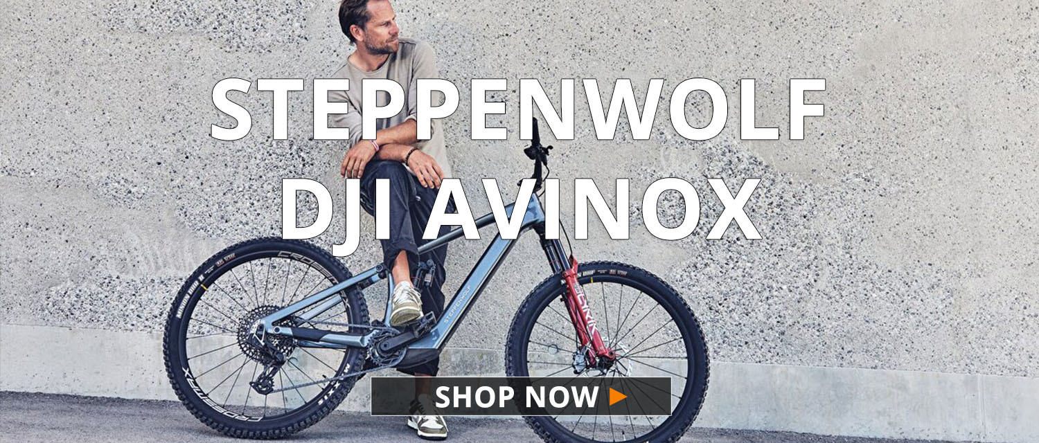STEPPENWOLF DJI avinox